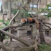 ヒメ日記 2025/07/18 19:50 投稿 西本 愛妻倶楽部 宇都宮店