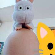 ヒメ日記 2025/09/06 12:02 投稿 西本 愛妻倶楽部 宇都宮店