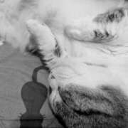 ヒメ日記 2025/10/10 07:09 投稿 西本 愛妻倶楽部 宇都宮店