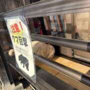 西本 次回の出勤 愛妻倶楽部 宇都宮店