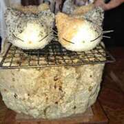 ヒメ日記 2026/01/01 19:39 投稿 西本 愛妻倶楽部 宇都宮店