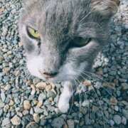 ヒメ日記 2026/01/15 20:02 投稿 西本 愛妻倶楽部 宇都宮店