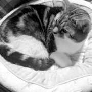 ヒメ日記 2026/01/26 21:04 投稿 西本 愛妻倶楽部 宇都宮店