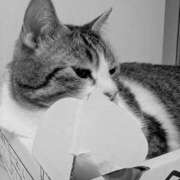 ヒメ日記 2026/02/22 11:10 投稿 西本 愛妻倶楽部 宇都宮店