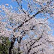 ヒメ日記 2026/04/04 07:18 投稿 西本 愛妻倶楽部 宇都宮店