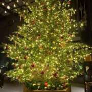 ヒメ日記 2025/11/27 00:40 投稿 青山なな 東京エステコレクション 新橋・銀座