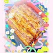 ヒメ日記 2025/12/14 10:53 投稿 愛 松戸角海老岩瀬店