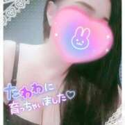 ヒメ日記 2025/03/27 17:04 投稿 すあ 熟女の風俗最終章 新潟店