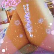 ヒメ日記 2025/04/30 10:44 投稿 すあ 熟女の風俗最終章 新潟店