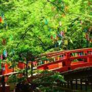 ヒメ日記 2025/07/07 11:34 投稿 千葉あいか 月の真珠-新宿-