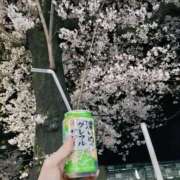 ヒメ日記 2026/03/30 08:19 投稿 千葉あいか 月の真珠-新宿-