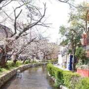 ヒメ日記 2025/03/29 19:00 投稿 木南　まい ホットポイント パート2