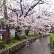 ヒメ日記 2025/04/06 20:14 投稿 木南　まい ホットポイント パート2