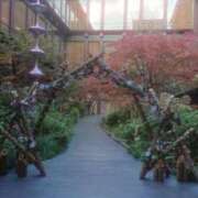 ヒメ日記 2025/12/03 09:46 投稿 木南　まい ホットポイント パート2