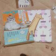 ヒメ日記 2026/02/25 20:45 投稿 木南　まい ホットポイント パート2