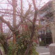 ヒメ日記 2026/03/22 14:14 投稿 木南　まい ホットポイント パート2