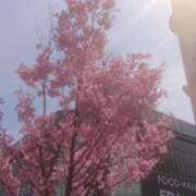 ヒメ日記 2026/03/24 13:30 投稿 木南　まい ホットポイント パート2