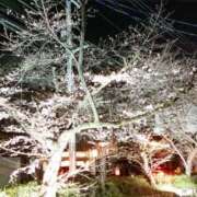 ヒメ日記 2026/03/28 09:04 投稿 木南　まい ホットポイント パート2