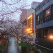 ヒメ日記 2026/03/29 10:28 投稿 木南　まい ホットポイント パート2