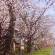 ヒメ日記 2026/03/29 14:04 投稿 木南　まい ホットポイント パート2