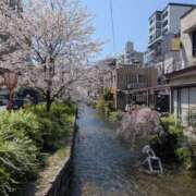 ヒメ日記 2026/04/03 15:30 投稿 木南　まい ホットポイント パート2