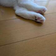 ヒメ日記 2026/04/21 09:27 投稿 木南　まい ホットポイント パート2