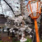 ヒメ日記 2026/04/22 13:55 投稿 木南　まい ホットポイント パート2