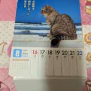 ヒメ日記 2026/08/16 09:06 投稿 木南　まい ホットポイント パート2