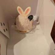 ヒメ日記 2026/10/02 10:47 投稿 木南　まい ホットポイント パート2