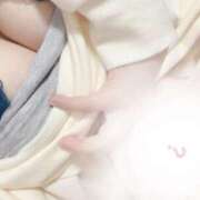 ヒメ日記 2025/01/29 15:25 投稿 あやね 和歌山ちゃんこ