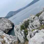 ヒメ日記 2025/02/11 23:16 投稿 あやね 和歌山ちゃんこ