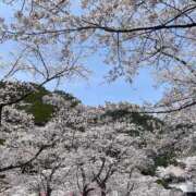 ヒメ日記 2025/04/08 16:08 投稿 あやね 和歌山ちゃんこ