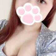 ヒメ日記 2025/11/15 02:38 投稿 あやね 和歌山ちゃんこ