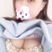 ヒメ日記 2025/11/15 12:15 投稿 あやね 和歌山ちゃんこ