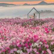 なおみ★人妻KISS★ 💎 出勤 💎 人妻kiss