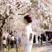 ヒメ日記 2025/04/09 08:35 投稿 坂本 ふみの Men's relaxation VEGA