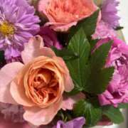 ヒメ日記 2025/10/17 06:55 投稿 坂本 ふみの Men's relaxation VEGA