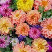 ヒメ日記 2025/11/12 23:17 投稿 坂本 ふみの Men's relaxation VEGA