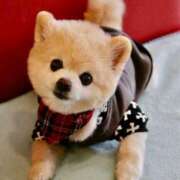 ヒメ日記 2025/11/13 11:00 投稿 坂本 ふみの Men's relaxation VEGA