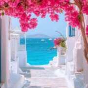 ヒメ日記 2026/01/11 09:40 投稿 坂本 ふみの Men's relaxation VEGA