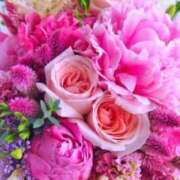 ヒメ日記 2026/02/13 18:45 投稿 坂本 ふみの Men's relaxation VEGA