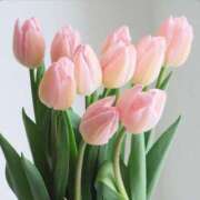 ヒメ日記 2026/03/13 14:33 投稿 坂本 ふみの Men's relaxation VEGA