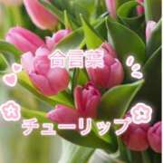ヒメ日記 2026/04/02 10:55 投稿 坂本 ふみの Men's relaxation VEGA