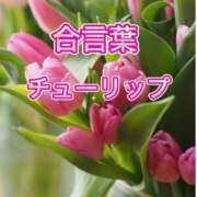 ヒメ日記 2026/04/02 14:26 投稿 坂本 ふみの Men's relaxation VEGA