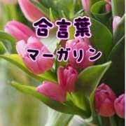 ヒメ日記 2026/04/03 14:38 投稿 坂本 ふみの Men's relaxation VEGA