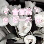 ヒメ日記 2026/04/06 10:58 投稿 坂本 ふみの Men's relaxation VEGA