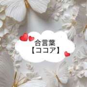 ヒメ日記 2026/04/07 06:14 投稿 坂本 ふみの Men's relaxation VEGA