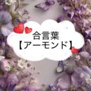 ヒメ日記 2026/04/09 16:38 投稿 坂本 ふみの Men's relaxation VEGA
