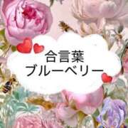 ヒメ日記 2026/04/14 08:19 投稿 坂本 ふみの Men's relaxation VEGA