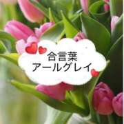 ヒメ日記 2026/04/18 14:25 投稿 坂本 ふみの Men's relaxation VEGA